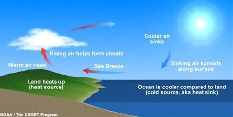 沖縄 アルバイト - 海風と共に働く夢の現実